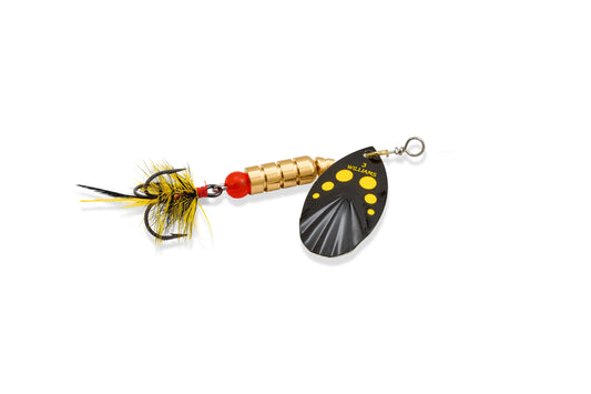 Williams Vortex Dressed