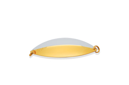 Williams Flasher